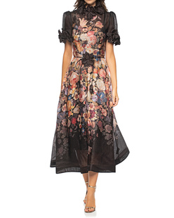 ZIMMERMANN Luminosity Liftoff Multicolor