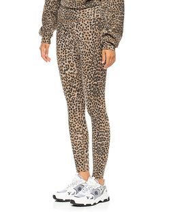 RAGDOLL L.A. Leopard Brown