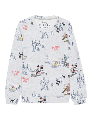 FROGBOX Mickey Ski Offpiste Grey