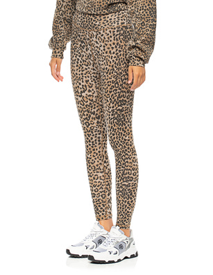 RAGDOLL L.A. Leopard Brown