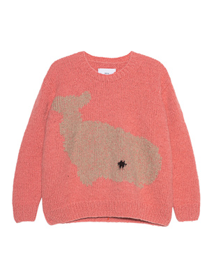 Wild Animals Whale Bear Rose