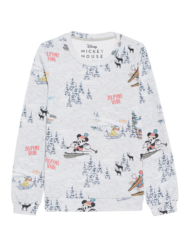 kom-frogbox-d-sweater-mickey-ski_1_grey