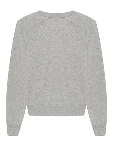 -terne-d-sweatshirt-raglan_1_grey