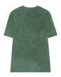 nsn-h-tshirt-splashed_1_gramagreen